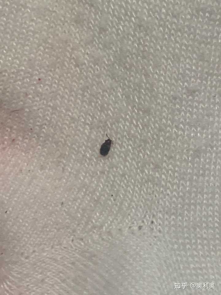 第637页