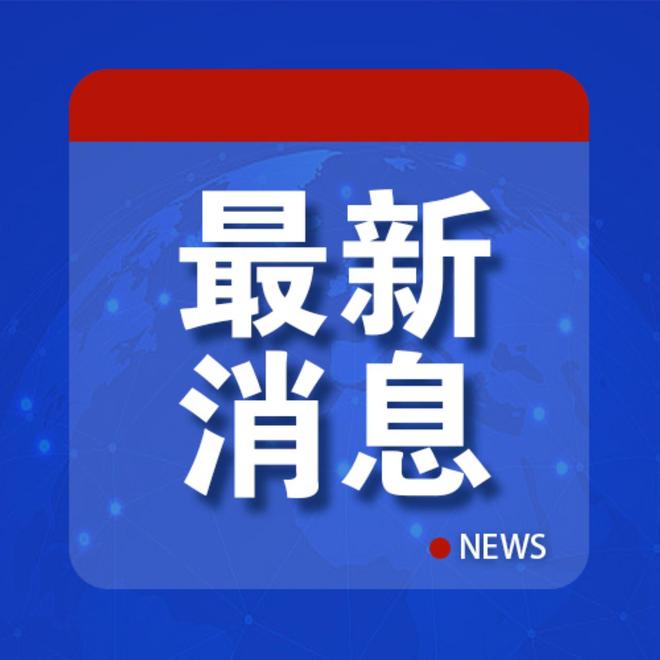 第242页