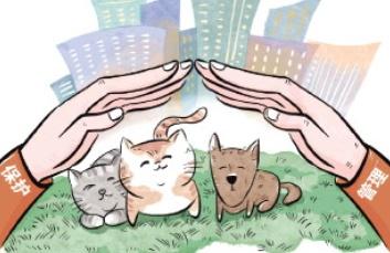 专家解答猫狗抓咬伤八大问题专家解答猫狗抓咬伤八大问题全解析