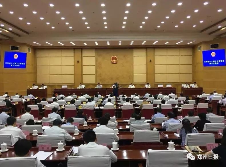 河南省人大代表，为民发声，推动地方发展的力量