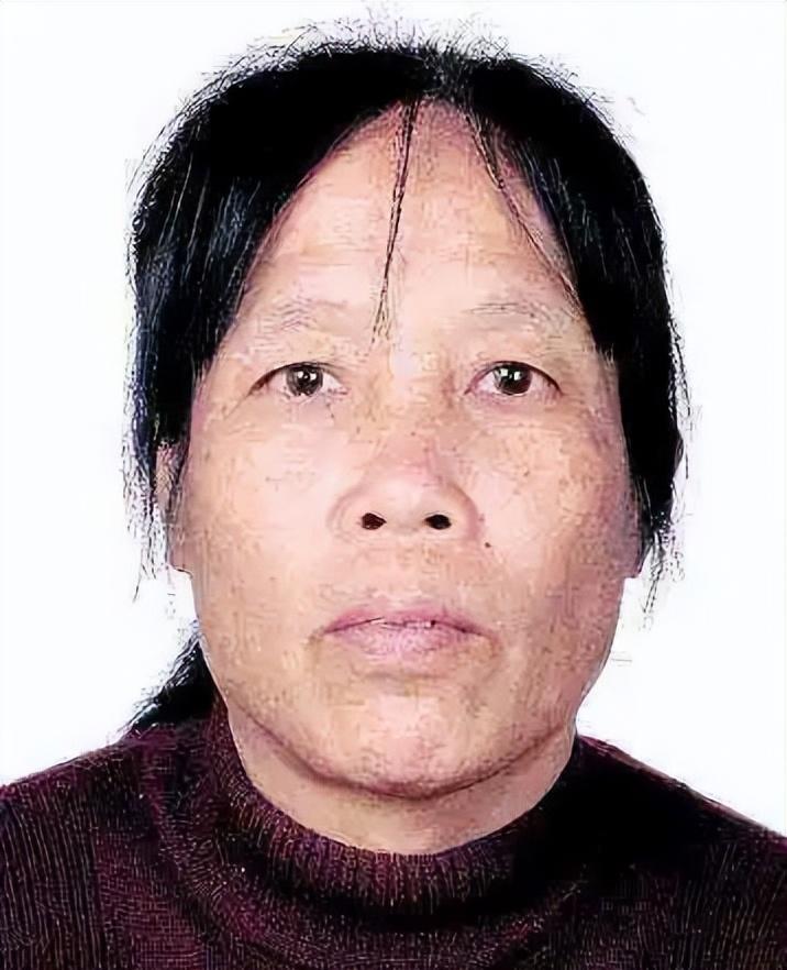 雾中仙子 第5页