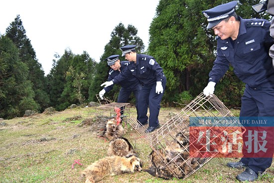 一曦时光 第5页