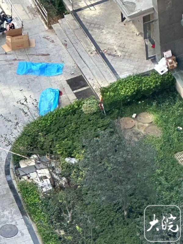 一小区两名孩子坠楼身亡