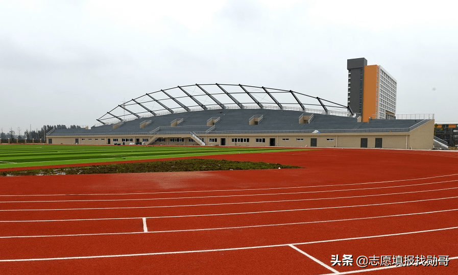 追梦人   第3页