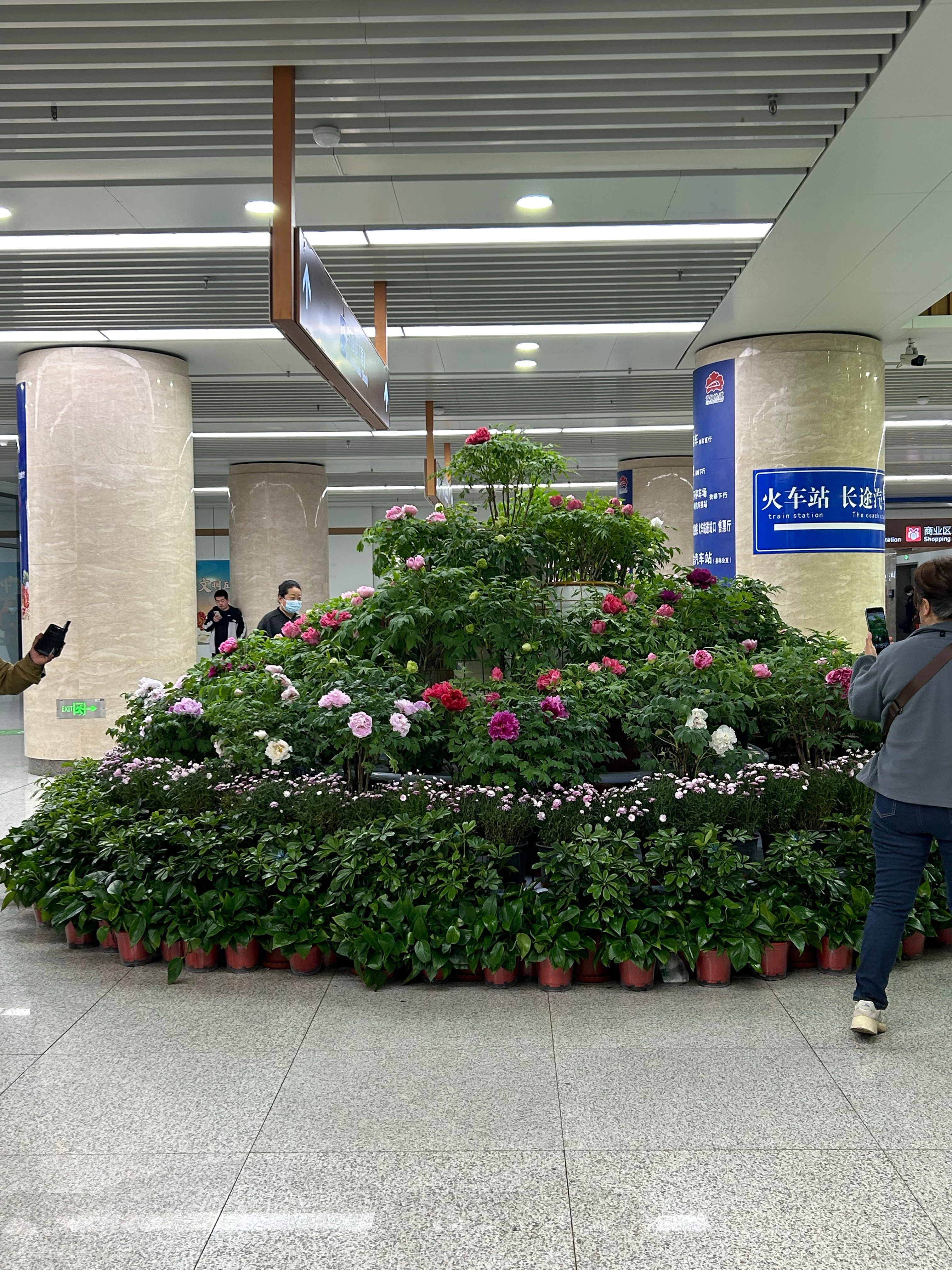 晨曦之光 第3页