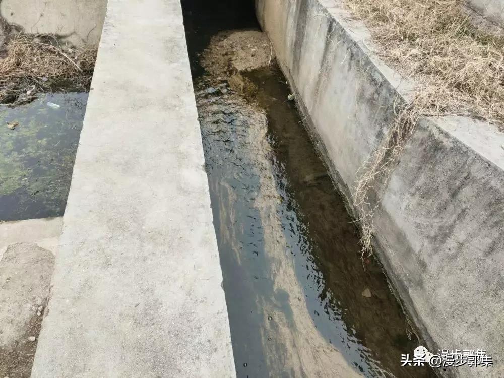 未来的探险者   第3页