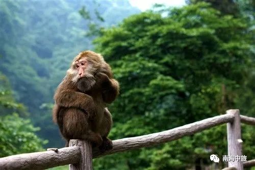 荒野游侠 第2页