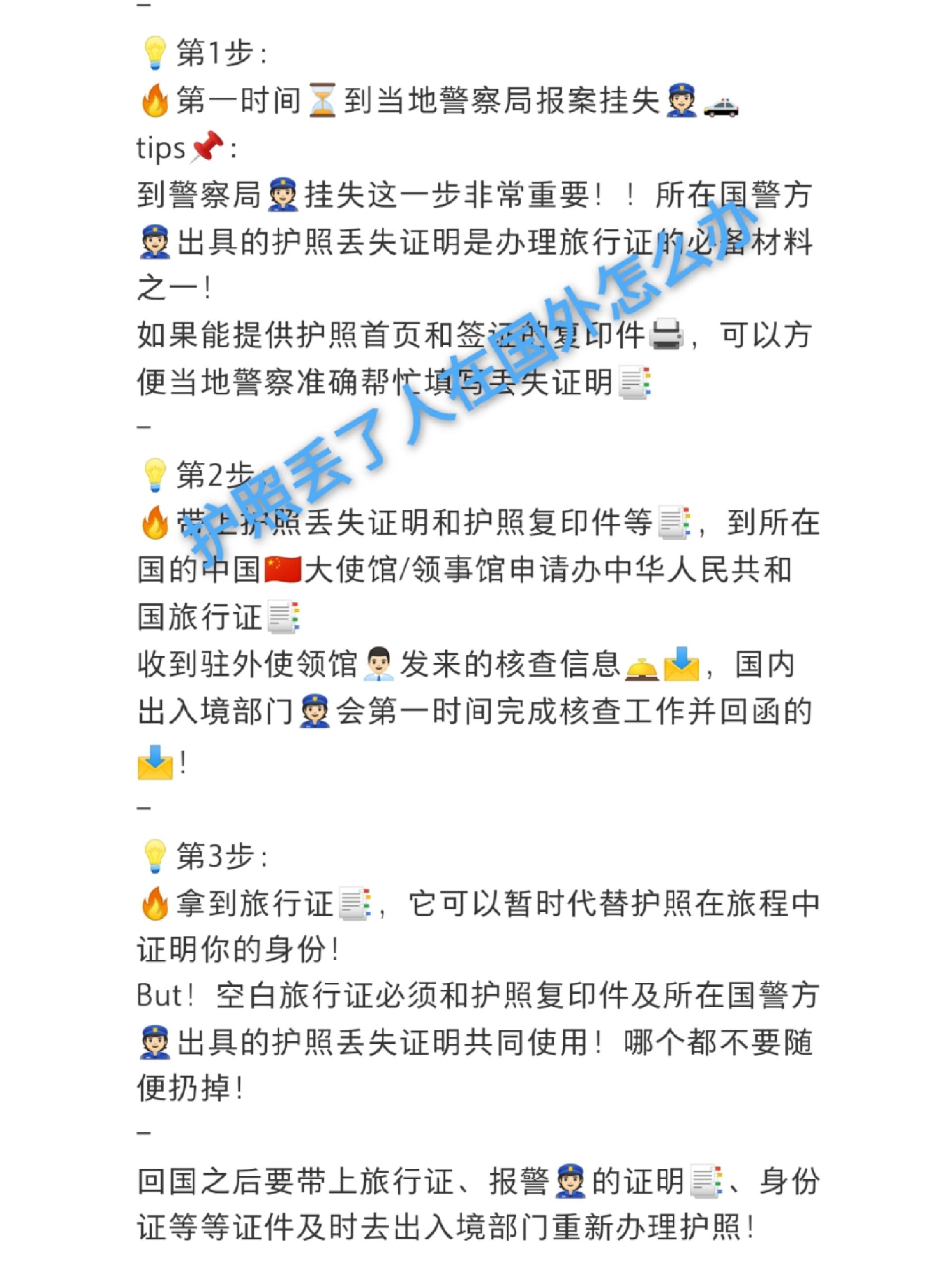 没护照怎么办？全面解析应对方案