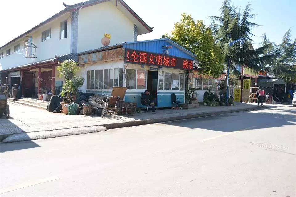 停车被交警贴罚单，车主们的必修课