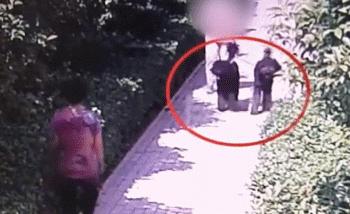 女子被咬身亡相关医生停职事件深度解析