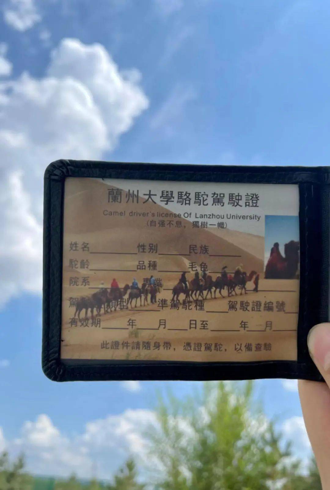 兰州大学有骆驼证吗关于兰州大学是否有骆驼证的问题解析