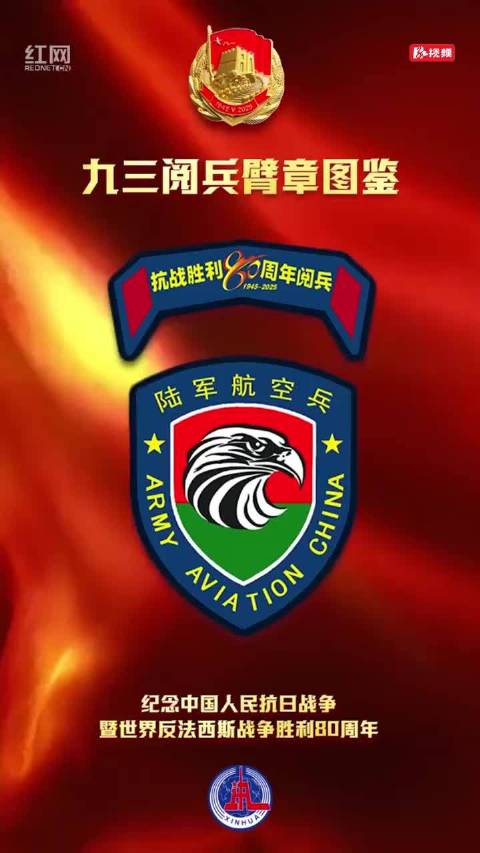 九三阅兵臂章图鉴九三阅兵臂章图鉴，探寻背后故事与荣誉的象征